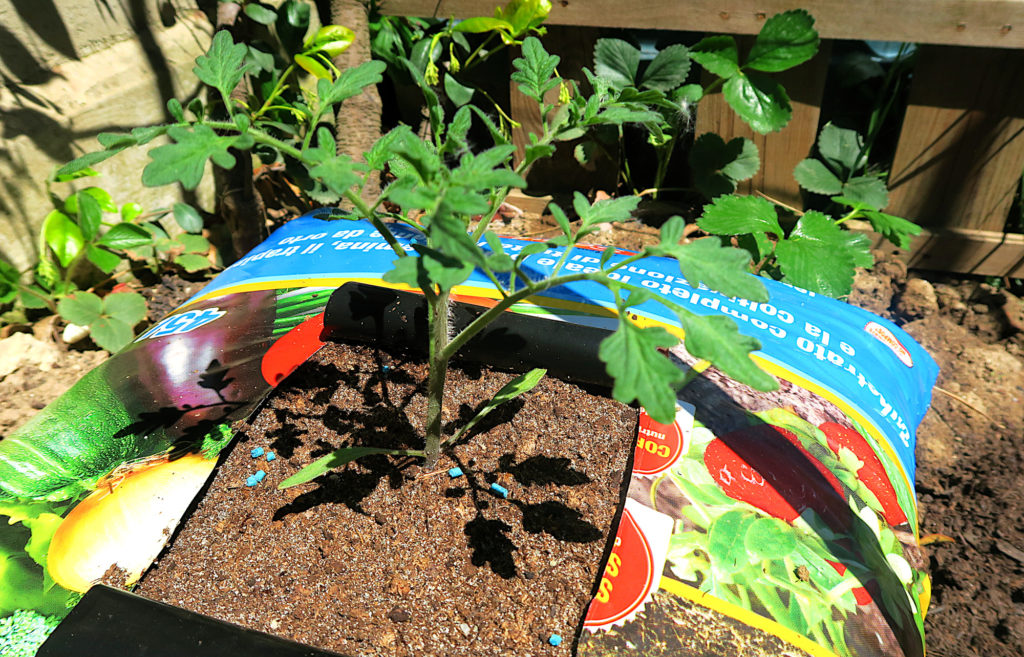 Orto in sacco: coltivazione in sacchi di terriccio per giardinaggio
